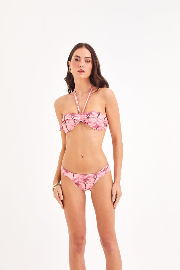 Conjunto Top Filipinas e Calcinha Borboleta Cerejeira Rose